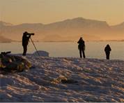 Antarctica and Scotia Arc